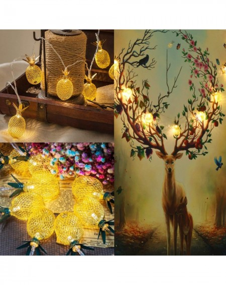 Indoor String Lights 6.5 Ft 10 LEDs Pineapple Fairy String Light - Decor Gifts Battery Operated for DIY Christmas Tropical Th...