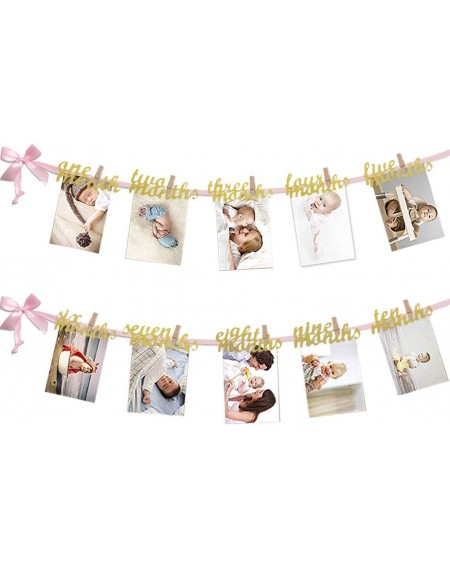 Banners 12 Month Photo Banner- First Birthday Decoration- Milestone Photo Banner for First Birthday Party- Great (Pink and Go...