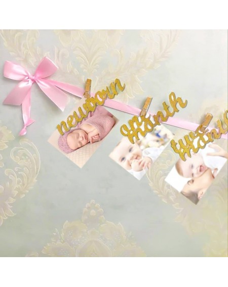 Banners 12 Month Photo Banner- First Birthday Decoration- Milestone Photo Banner for First Birthday Party- Great (Pink and Go...