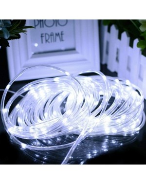 Rope Lights Solar Rope Lights Outdoor-WONAFST Waterproof 39ft 100LED Rope Copper Wire Tube Decorative String Light for Christ...