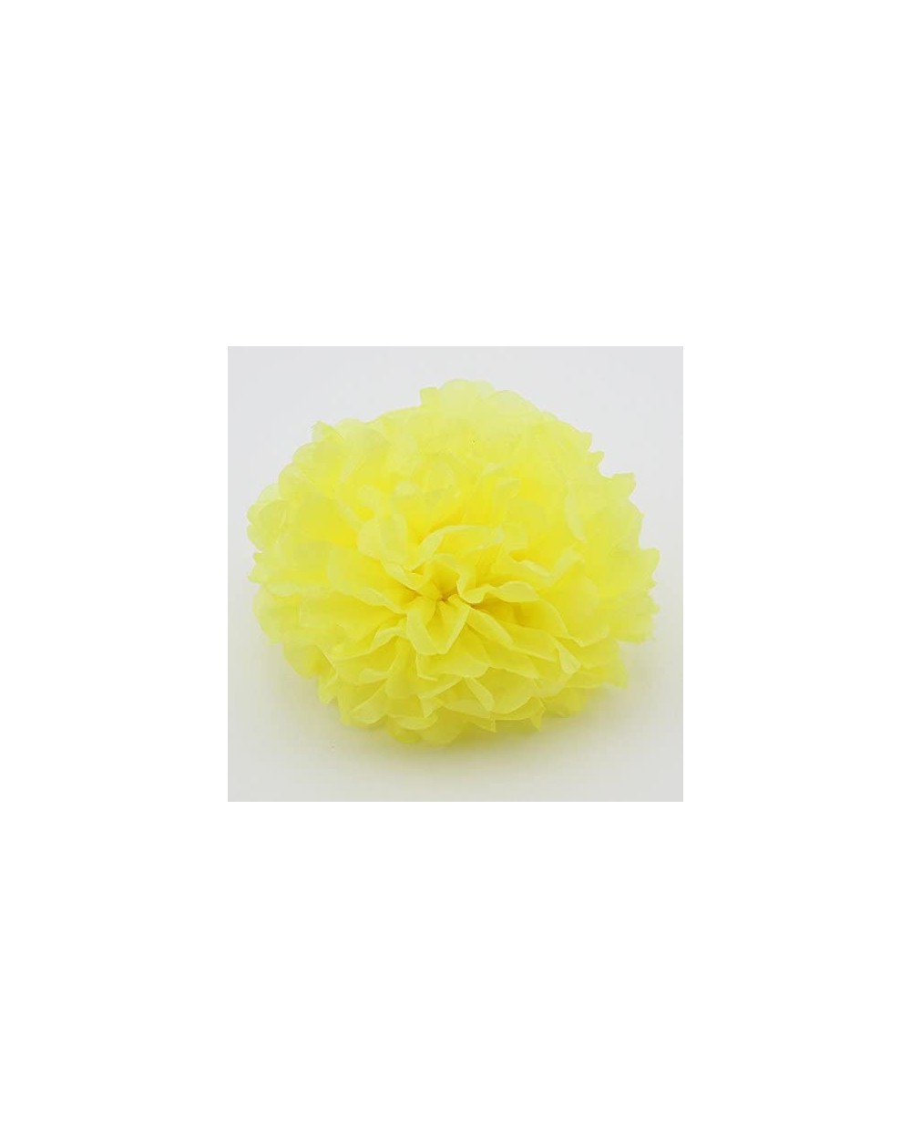 Tissue Pom Poms Since10 Pack 10 Inch Tissue Paper Flowers-Tissue Pom Poms Decor-Tissue Paper Pom Poms-Christmas Wedding Party...