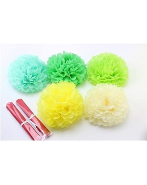 Tissue Pom Poms Since10 Pack 10 Inch Tissue Paper Flowers-Tissue Pom Poms Decor-Tissue Paper Pom Poms-Christmas Wedding Party...