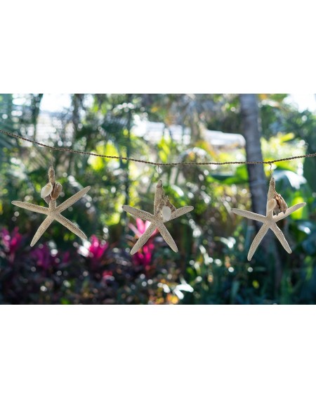 Garlands Nautical Garland - White Starfish with Mini Shell Dangles - 6' Beach Garland for Decoration - Plus Free Nautical eBo...