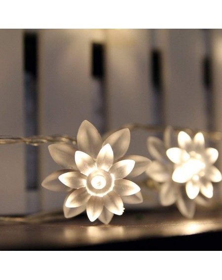 Indoor String Lights Battery Operated Indoor and Outdoor 60 LED Lotus Flower Fairy Lights on 22ft PVC String with Timer-for C...
