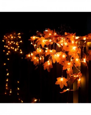 Indoor String Lights 4PACK Thanksgiving Maple Leaves Lights- 80 LEDs Twinkle Lights Battery Operated- Thanksgiving Lights for...