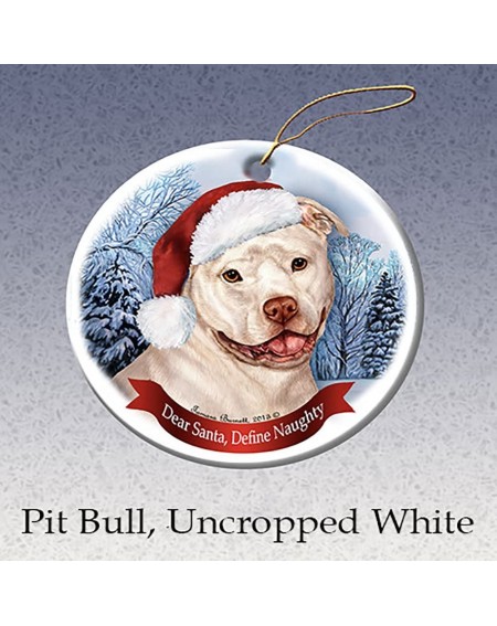 Ornaments Holiday Pet Gifts White Pit Bull (Uncropped) Santa Hat Dog Porcelain Ornament - C21292WJWHP $12.59
