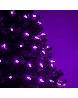 Indoor String Lights 70 C6 LED Purple Lights Halloween Decorations Outdoor Christmas String Lights- 24 Ft- Halloween Lights H...