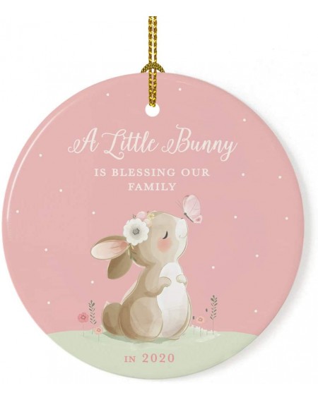Ornaments Custom Year Round Ceramic Porcelain Ornament Baby Announcement Keepsake Collectible Gift- A Little Bunny is Blessin...