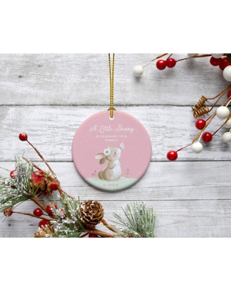 Ornaments Custom Year Round Ceramic Porcelain Ornament Baby Announcement Keepsake Collectible Gift- A Little Bunny is Blessin...