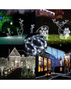 Rope Lights 10 ft Cool White PRE-Assembled LED Rope Lights - 2 Wire Christmas Holiday Decoration Indoor/Outdoor Lighting - UL...