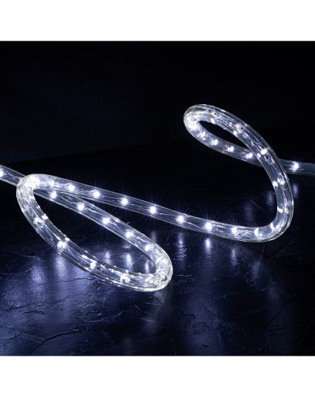Rope Lights 10 ft Cool White PRE-Assembled LED Rope Lights - 2 Wire Christmas Holiday Decoration Indoor/Outdoor Lighting - UL...