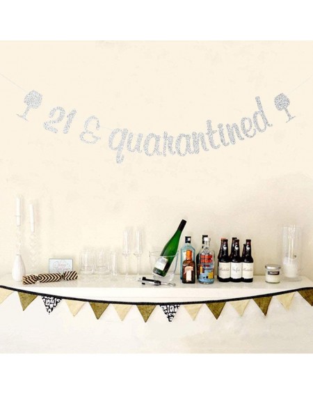 Banners 21 & Quarantined Banner- 21st Birthday Party Decorations- Happy 21st Birthday Party Sign- Silver Glitter - C419G69RM4...