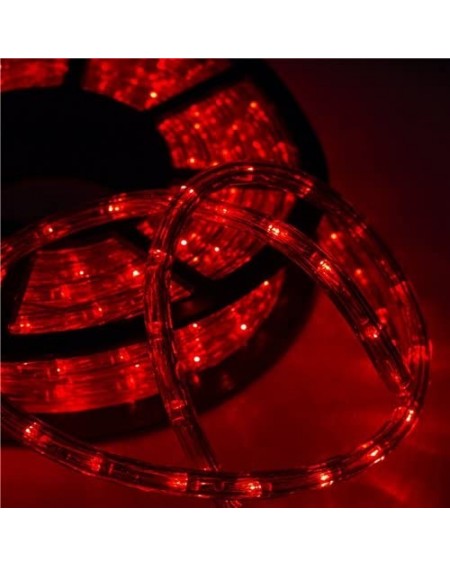 Outdoor String Lights 50 Ft 2 Wire Led Rope Lights Christmas Lights Waterproof Indoor Outdoor Use for Backyard Party Christma...