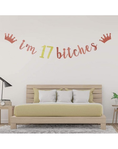 Banners & Garlands I'm 17 Bitches Banner- 17th Birthday Party Decor- Funny Seventeen Years Old Birthday Banner- Girl's 17th B...