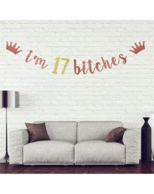 Banners & Garlands I'm 17 Bitches Banner- 17th Birthday Party Decor- Funny Seventeen Years Old Birthday Banner- Girl's 17th B...