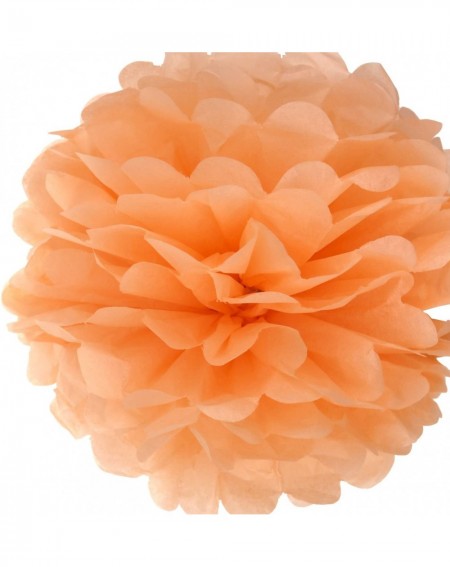 Tissue Pom Poms 10pcs DIY Decorative Tissue Paper Pom-poms Flowers Ball Perfect for Party Wedding Home Outdoor Decoration (10...
