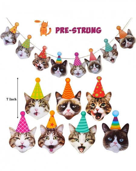 Favors 30pcs Grumpy Cat Party Supplies Cat Banner-Meow Letter Gold Balloons with Paw Print-24Pcs Grumpy Cat Cake Cupcake Topp...