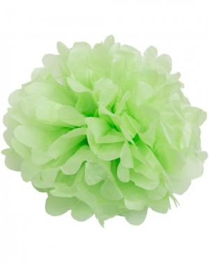 Tissue Pom Poms Set of 10 - Light Apple Green 10" - (10 Pack) Tissue Pom Poms Flower Party Decorations for Weddings- Birthday...