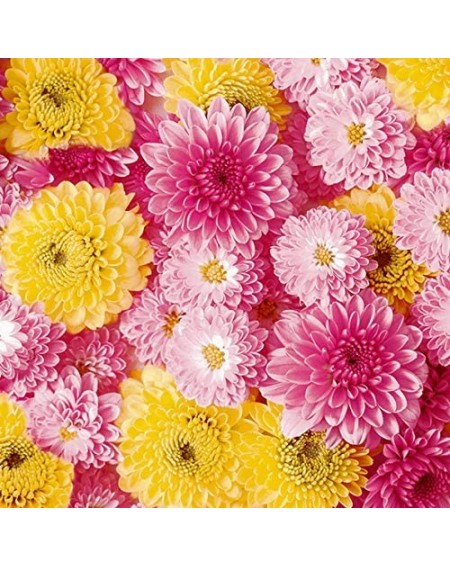 Tableware Decorative Floral Paper Lunch Napkins - Blast of Spring- 20 Count- 6.5 inch - Blast of Spring - CK18L3HMETW $7.95