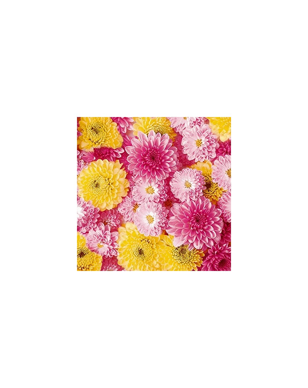 Tableware Decorative Floral Paper Lunch Napkins - Blast of Spring- 20 Count- 6.5 inch - Blast of Spring - CK18L3HMETW $7.95