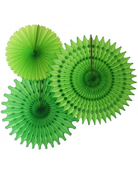 Streamers Set of 3 Honeycomb Tissue Fans- Lime (13-21 Inch) - CI12EWGGYWR $11.92
