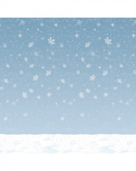 Favors Winter Sky Backdrop Party Accessory (1 count) (1/Pkg) - CX111S5O2ZH $20.07