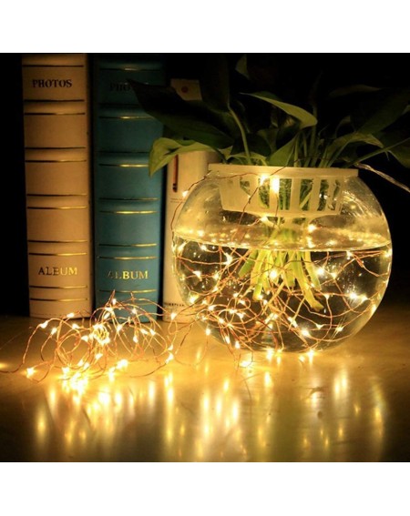 Indoor String Lights LED Fairy String Lights USB Powered Copper Wire Firefly Lights Waterproof Starry Bottle Lights for Bedro...