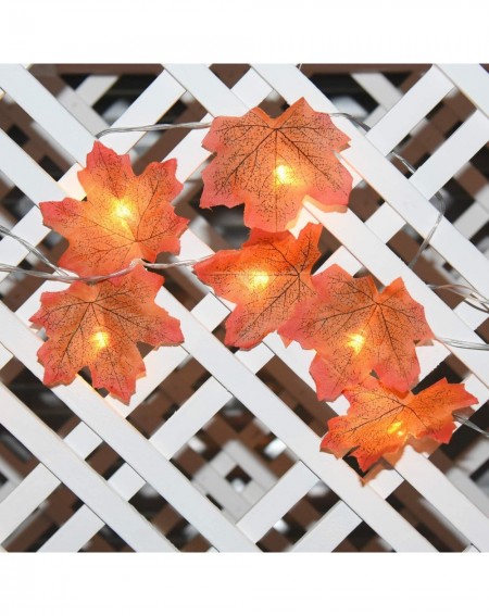 Indoor String Lights Fall Decor Maple Leaf String Lights for Thanksgiving Christmas 10 LED Maple Fall Leaf Garland Waterproof...