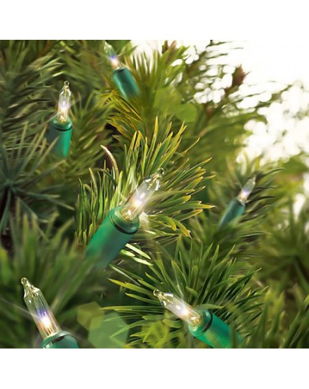 Outdoor String Lights 100 Clear Mini Lights - Green Wire - Indoor/Outdoor (2 Pack) - Clear - CW12O0TRJAP $10.73