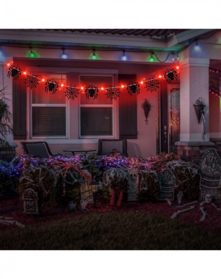 Indoor String Lights Halloween Lights with Spider and Spider Web Decor 9.8 Feet 30 LED Fairy Lights String 2 Modes Battery Ha...