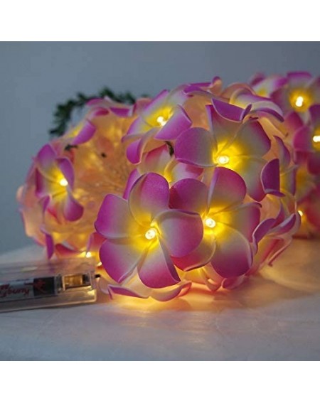 Outdoor String Lights Plumeria Flower String Lights 20LED String Light Hawaiian Foam Artificial Plumeria Flower Battery Power...