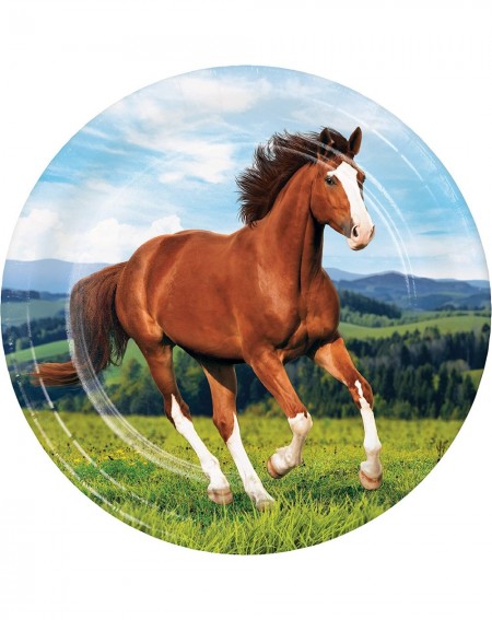 Party Tableware Wild Horse Paper Plates- 24 ct - CT18OHOAA0Q $30.04