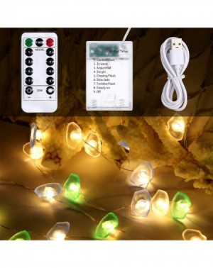 Indoor String Lights Forest String Fairy Lights- Fluorite Crystal Decorative Lighting- 9.8 Ft 40 LEDs Battery and USB Operate...