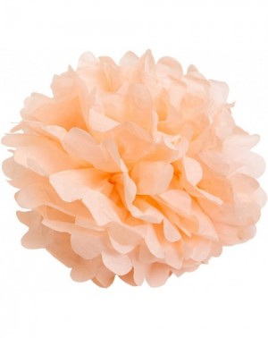 Tissue Pom Poms Set of 10 - Peach 8" - (10 Pack) Tissue Pom Poms Flower Party Decorations for Weddings- Birthday- Bridal- Bab...