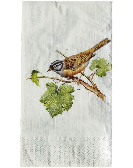 Tableware Park Hill Collection Disposable Guest Towels - Two Pack of 20 Count Paper Hand Towels - Songbird Design - Kitchen D...