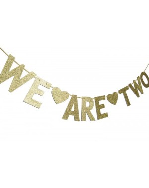 Banners & Garlands We Are Two Gold Glitter Garland Bunting Banner- Twins' 2nd Birthday Party Decorations - CR18GYRAKWZ $13.50