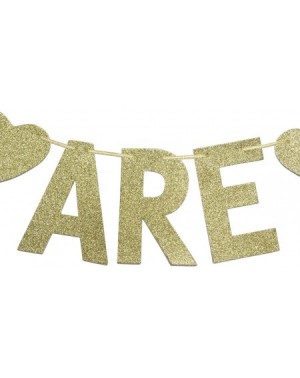 Banners & Garlands We Are Two Gold Glitter Garland Bunting Banner- Twins' 2nd Birthday Party Decorations - CR18GYRAKWZ $13.50