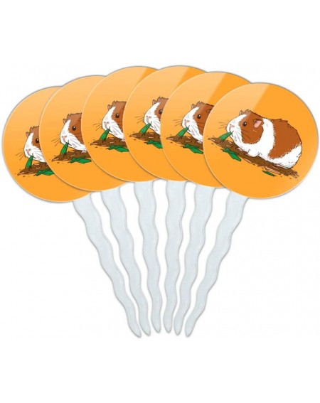 Cake & Cupcake Toppers Guinea Pig Eating Cupcake Picks Toppers Decoration Set of 6 - CZ189TMG8Q0 $18.83