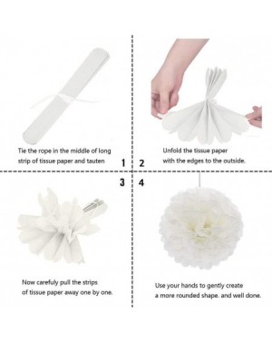 Tissue Pom Poms 16pcs Tissue Paper Flowers Ball Pom Poms Mixed Paper Lanterns Craft Kit for Wedding School Graduation Decorat...
