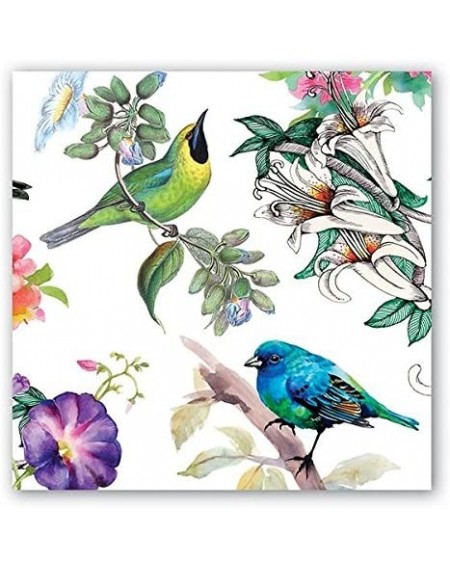 Tableware 20-Count 3-Ply Paper Luncheon Napkins- Bird Song - CP182Y4XY5Z $26.52