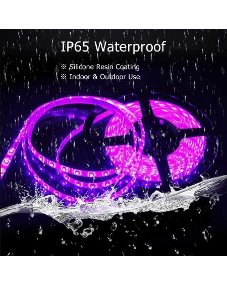 Rope Lights LED Strip Light Pink-Purple Waterproof IP65 3528 SMD 300LEDs- 60LEDs/M 16.4 ft/5M 12V DC LED Tape for Christmas- ...