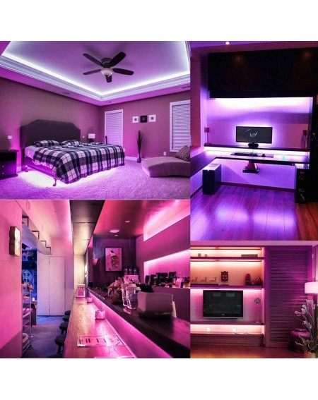 Rope Lights LED Strip Light Pink-Purple Waterproof IP65 3528 SMD 300LEDs- 60LEDs/M 16.4 ft/5M 12V DC LED Tape for Christmas- ...