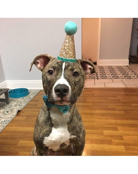 Party Hats Glitter Dog First Birthday Cone Hat Mini Doggy Cat Kitty Birthday Party Hats - Silver - CZ18IDMULOT $10.35