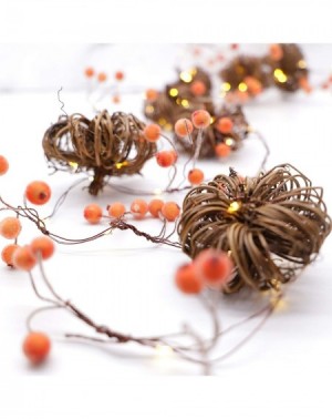 Indoor String Lights Rattan Pumpkin Berry String Lights 10ft 30LEDs Hand Made with The Remote & Timer for Thanksgiving Hallow...
