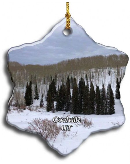 Ornaments Coalville Snowmobiling Utah USA America Christmas Ceramic Ornament Xmas Tree Decor Souvenirs Double Sided Snowflake...