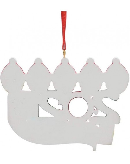 Ornaments Personalized Name Christmas Ornament Kit with Mask- 2020 Quarantine Survivor Family Christmas Decorating Kit Creati...