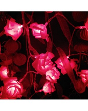 Indoor String Lights Novelty Rose Flower String Lights by Battery Operated for Wedding Garden Christmas Decor. 2M 6.6FT 20 LE...