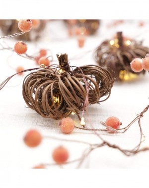 Indoor String Lights Rattan Berry Pumpkin String Lights 10ft 30LEDs Copper Wire with Remote & Timer for Thanksgiving Hallowee...