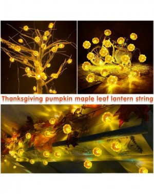 Indoor String Lights 2 Pack 3D Thanksgiving Pumpkin Lights Fall Garland Decor- Total 20Ft 40 LED Warm White Lights Battery Po...