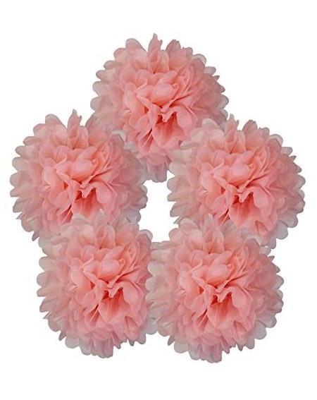 Tissue Pom Poms 5pcs 10-Inch Carnation Pink Tissue Paper Pom Pom Flower Ball - Carnation Pink - CO12D5KM2EZ $8.30